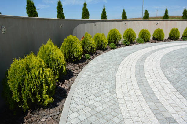 Reasons to Select Us for Your Driveway Paving Requirements in Zelienople, PA
